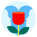 Love,Lover,Romance,Rose,Valentine,Valentine day,Valentines